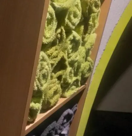 Hoteliving Duesseldorf Airport