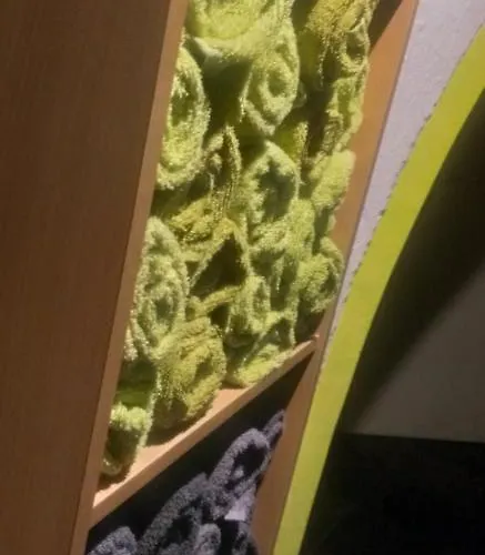 Hoteliving Duesseldorf Airport